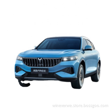 2023 Electric Car Design Voyah Free EV Suv big size Cruising Range 205km New Energy Vehicles for Sale